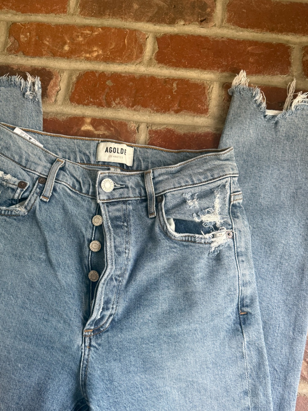 Agolde Light Blue High-Rise Button-Fly Jeans